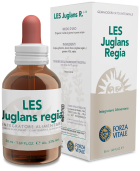 Juglans Regia Persian Walnut 50 ml