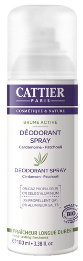 Deodorant Spray Brume Active 100 ml