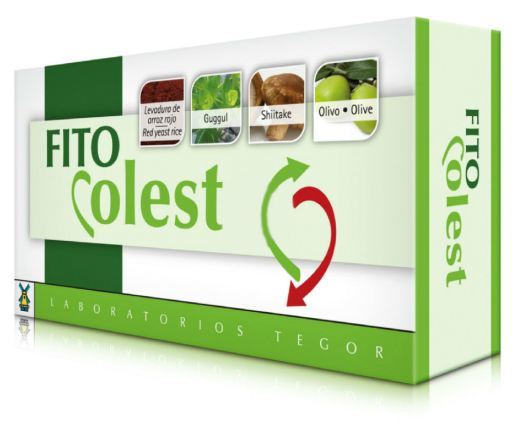 Fito cholest supplement 60 capsules