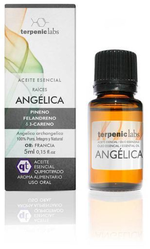 Angelica Essential Oil 5 ml