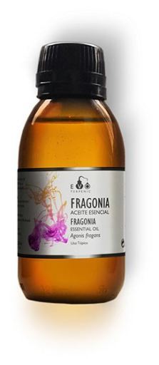 Fragonia Essential Oil 30 ml