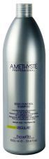 Amethyste Regulate Sebum Control Shampoo