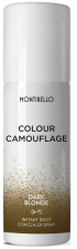 Color Camouflage Corrector Spray 50 ml