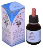 Msa Prunus Spinosa Buds 50 ml